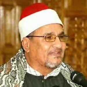 استاد محمد عبدالوهاب طنطاوی